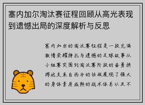塞内加尔淘汰赛征程回顾从高光表现到遗憾出局的深度解析与反思